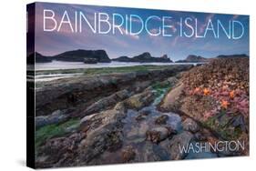 Bainbridge Island, Washington - Tidepool (Jesse Estes)-Lantern Press-Stretched Canvas