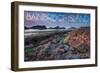 Bainbridge Island, Washington - Tidepool (Jesse Estes)-Lantern Press-Framed Art Print