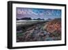 Bainbridge Island, Washington - Tidepool (Jesse Estes)-Lantern Press-Framed Art Print