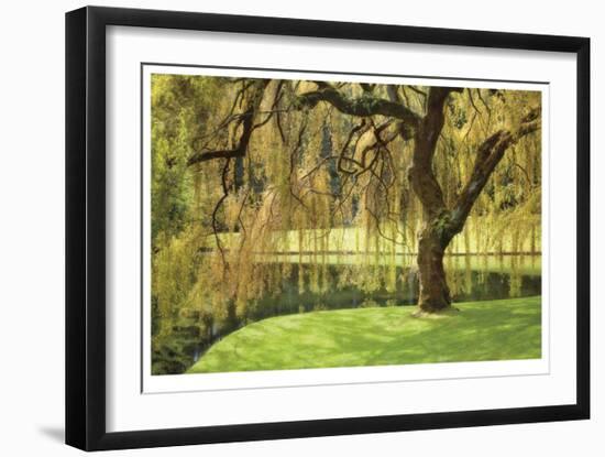 Bainbridge Island Willow-Donald Paulson-Framed Giclee Print