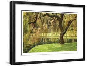 Bainbridge Island Willow-Donald Paulson-Framed Giclee Print