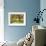 Bainbridge Island Willow-Donald Paulson-Framed Giclee Print displayed on a wall