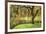 Bainbridge Island Willow-Donald Paulson-Framed Giclee Print