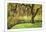 Bainbridge Island Willow-Donald Paulson-Mounted Giclee Print