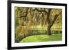 Bainbridge Island Willow-Donald Paulson-Framed Giclee Print