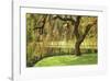 Bainbridge Island Willow-Donald Paulson-Framed Giclee Print