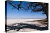 Baines Baobabs, Kudiakam Pan, Nxai Pan National Park, Botswana, Africa-Sergio-Stretched Canvas