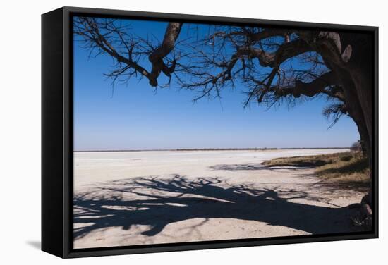 Baines Baobabs, Kudiakam Pan, Nxai Pan National Park, Botswana, Africa-Sergio-Framed Stretched Canvas