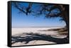 Baines Baobabs, Kudiakam Pan, Nxai Pan National Park, Botswana, Africa-Sergio-Framed Stretched Canvas