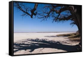 Baines Baobabs, Kudiakam Pan, Nxai Pan National Park, Botswana, Africa-Sergio-Framed Stretched Canvas