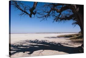 Baines Baobabs, Kudiakam Pan, Nxai Pan National Park, Botswana, Africa-Sergio-Stretched Canvas