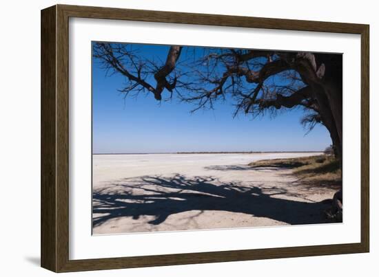 Baines Baobabs, Kudiakam Pan, Nxai Pan National Park, Botswana, Africa-Sergio-Framed Photographic Print
