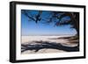 Baines Baobabs, Kudiakam Pan, Nxai Pan National Park, Botswana, Africa-Sergio-Framed Photographic Print