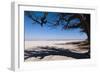 Baines Baobabs, Kudiakam Pan, Nxai Pan National Park, Botswana, Africa-Sergio-Framed Photographic Print