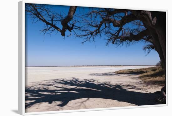 Baines Baobabs, Kudiakam Pan, Nxai Pan National Park, Botswana, Africa-Sergio-Framed Photographic Print