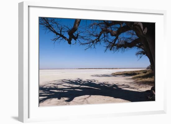 Baines Baobabs, Kudiakam Pan, Nxai Pan National Park, Botswana, Africa-Sergio-Framed Photographic Print