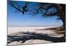 Baines Baobabs, Kudiakam Pan, Nxai Pan National Park, Botswana, Africa-Sergio-Mounted Photographic Print