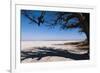 Baines Baobabs, Kudiakam Pan, Nxai Pan National Park, Botswana, Africa-Sergio-Framed Photographic Print