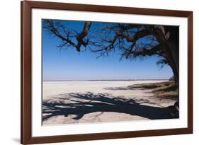 Baines Baobabs, Kudiakam Pan, Nxai Pan National Park, Botswana, Africa-Sergio-Framed Photographic Print