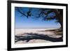 Baines Baobabs, Kudiakam Pan, Nxai Pan National Park, Botswana, Africa-Sergio-Framed Photographic Print