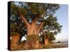 Baines Baobabs, Nxai Pan, Botswana, Africa-Peter Groenendijk-Stretched Canvas