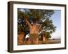 Baines Baobabs, Nxai Pan, Botswana, Africa-Peter Groenendijk-Framed Photographic Print
