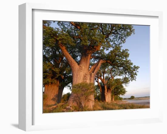 Baines Baobabs, Nxai Pan, Botswana, Africa-Peter Groenendijk-Framed Photographic Print