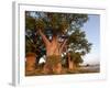 Baines Baobabs, Nxai Pan, Botswana, Africa-Peter Groenendijk-Framed Photographic Print