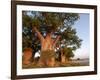 Baines Baobabs, Nxai Pan, Botswana, Africa-Peter Groenendijk-Framed Photographic Print