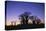 Baines Boabab Tree Silhouettes-null-Stretched Canvas