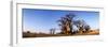 Baines Boabab Trees, Kalahari Desert, Nxai Pan National Park, Botswana-Paul Souders-Framed Premium Photographic Print