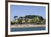 Baiona, Pontevedra, Galicia, Spain, Europe-Michael Snell-Framed Photographic Print