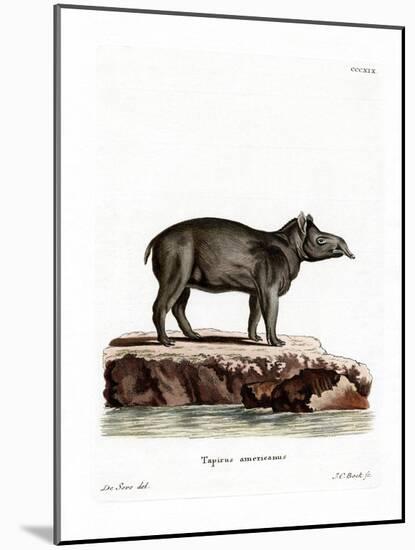 Baird's Tapir-null-Mounted Giclee Print