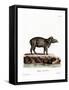 Baird's Tapir-null-Framed Stretched Canvas