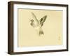 Bairei Gadan - Bird-Bairei Kono-Framed Giclee Print