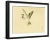 Bairei Gadan - Bird-Bairei Kono-Framed Giclee Print