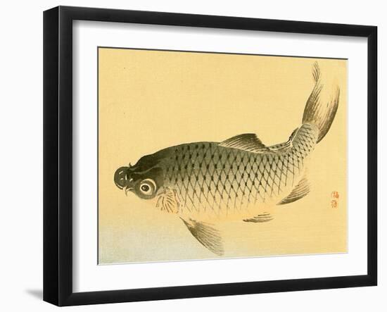 Bairei Gadan - Carp-Bairei Kono-Framed Giclee Print