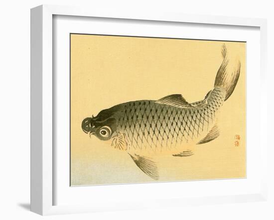 Bairei Gadan - Carp-Bairei Kono-Framed Giclee Print