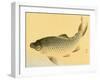 Bairei Gadan - Carp-Bairei Kono-Framed Giclee Print