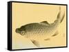 Bairei Gadan - Carp-Bairei Kono-Framed Stretched Canvas