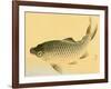 Bairei Gadan - Carp-Bairei Kono-Framed Giclee Print