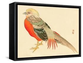 Bairei Gadan - Chinese Pheasant-Bairei Kono-Framed Stretched Canvas