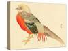 Bairei Gadan - Chinese Pheasant-Bairei Kono-Stretched Canvas