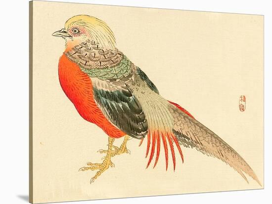 Bairei Gadan - Chinese Pheasant-Bairei Kono-Stretched Canvas