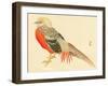 Bairei Gadan - Chinese Pheasant-Bairei Kono-Framed Giclee Print