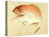 Bairei Gadan - Red Snapper-Bairei Kono-Stretched Canvas