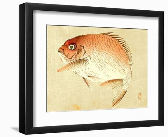 Bairei Gadan - Red Snapper-Bairei Kono-Framed Premium Giclee Print