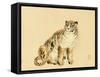 Bairei Gadan - Tiger-Bairei Kono-Framed Stretched Canvas