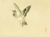 Sparrow and Tiger Lilies-Bairei Kono-Giclee Print