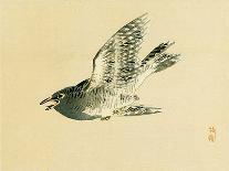 Flowers and Birds Picture Album by Bairei No.10-Bairei Kono-Giclee Print